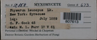 Image Associated With the Occurence